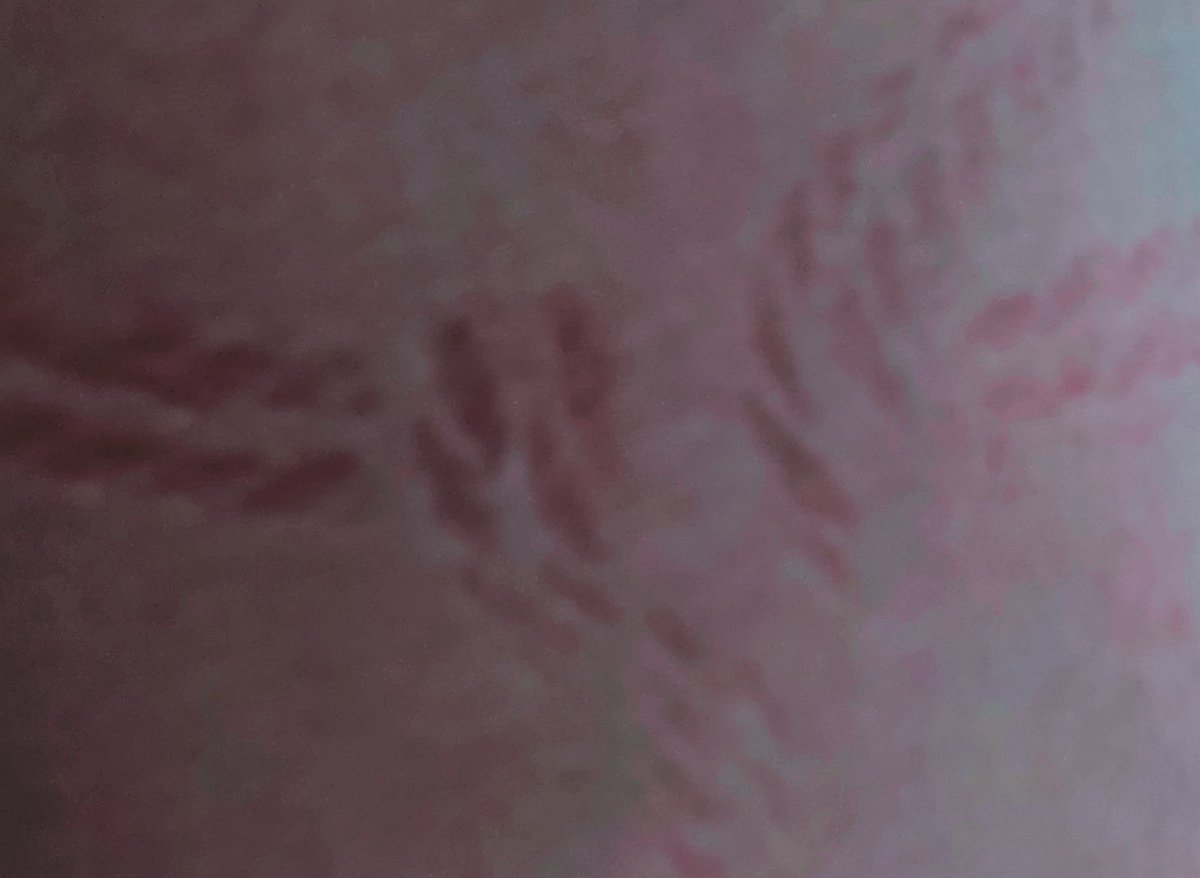 97mingming97's tweet image. 