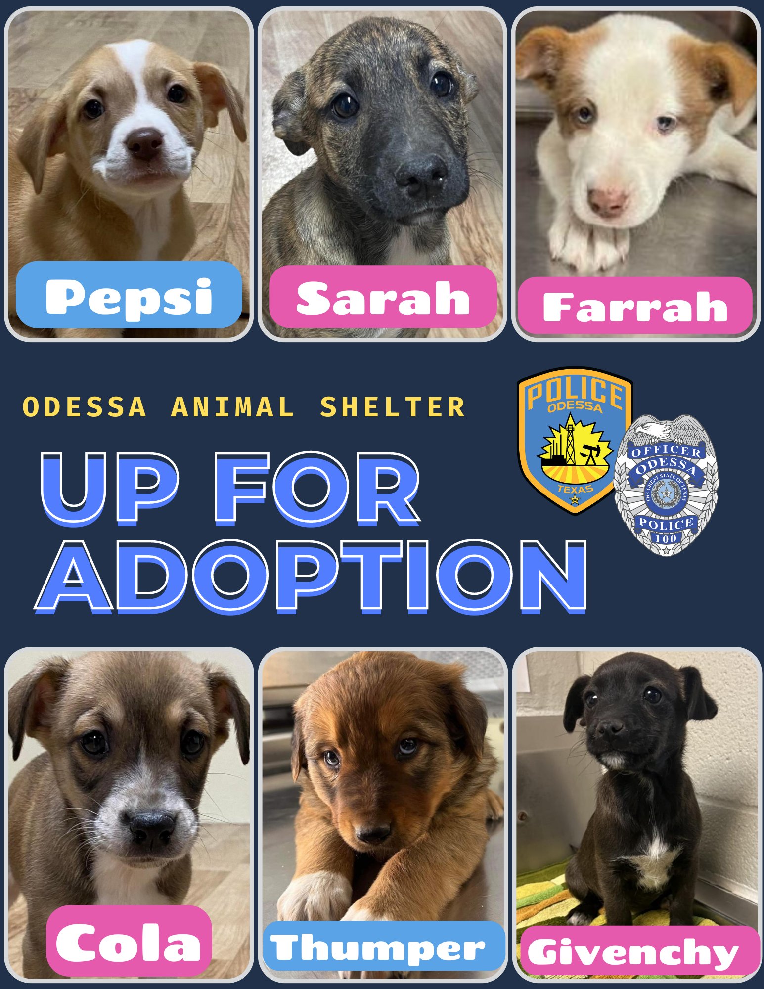 Odessa PD on Twitter: Odessa PD on Twitter: