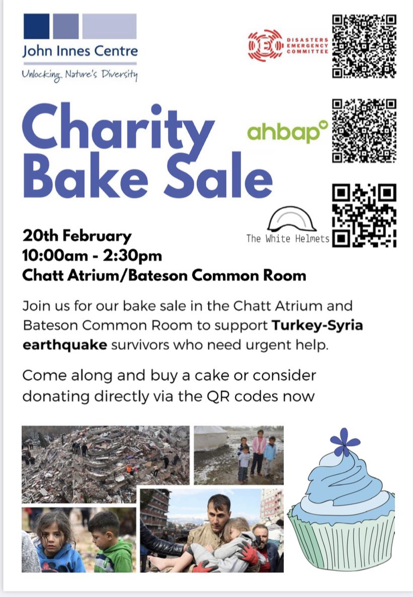 Sadiye Hayta tweet media