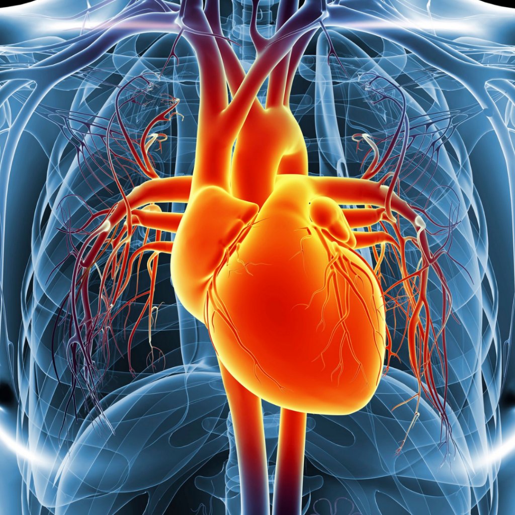 Dr. Jay Wrigley tweet media