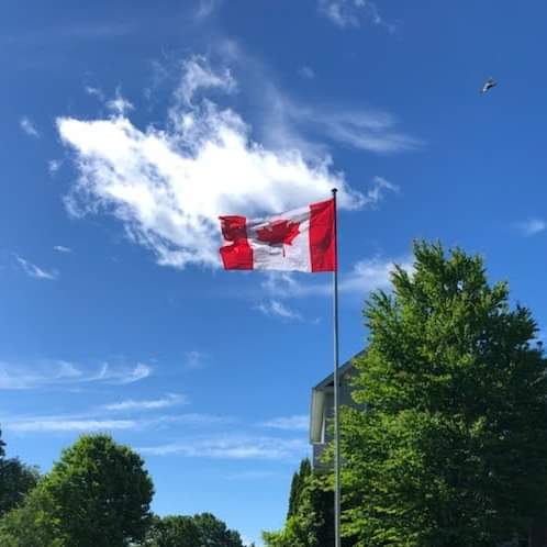 Brian Ostrander tweet media