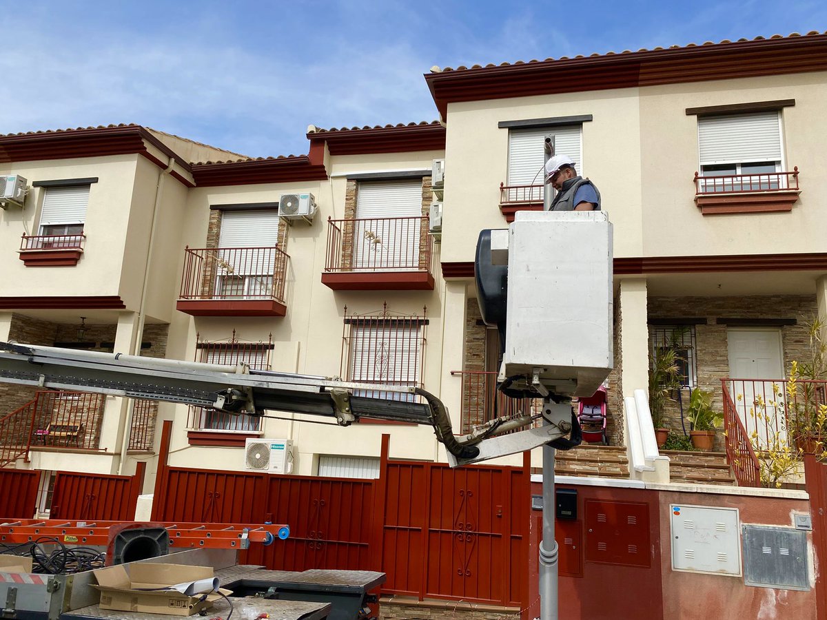 Aurora Suárez tweet media