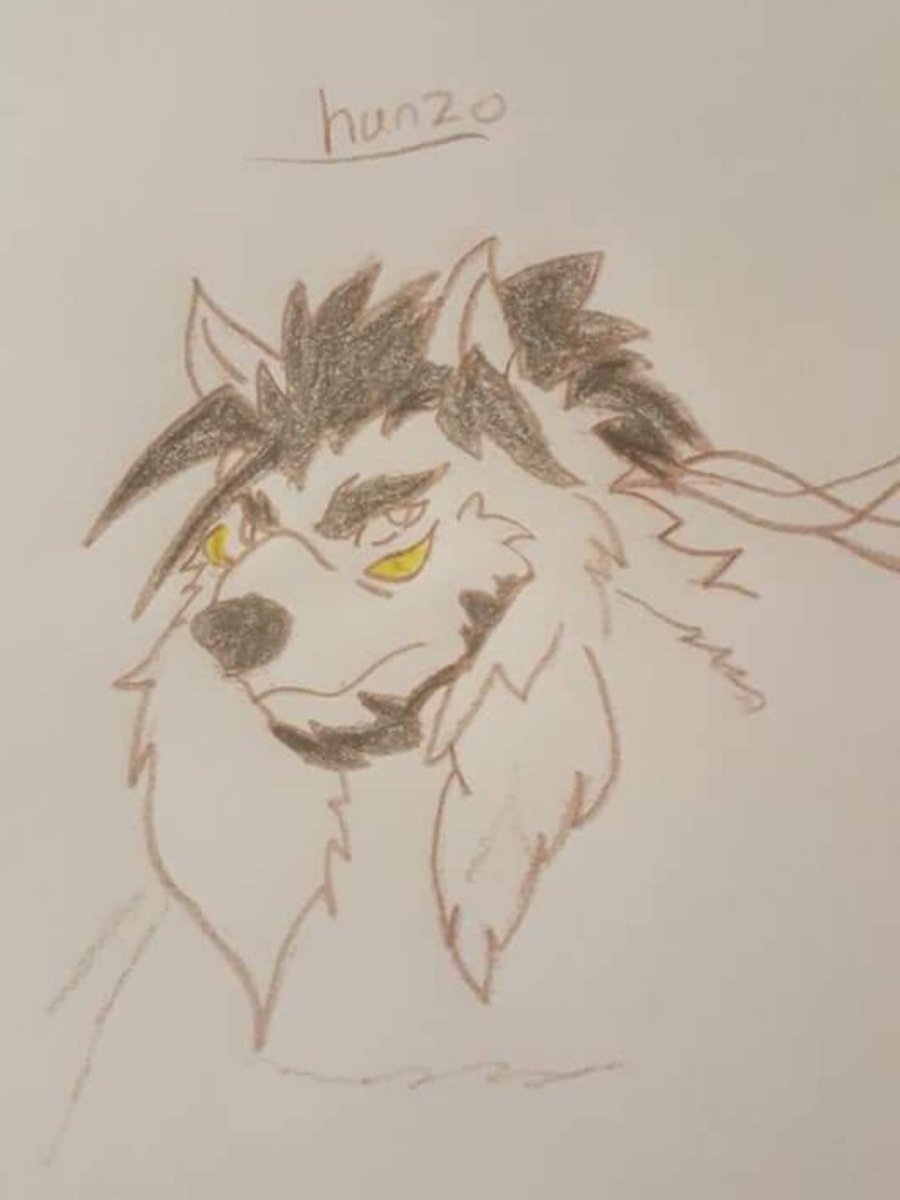 🤖I drew hanzo as a wolf the other day. I saw his wolf skin and figured "why not full wolf??" 

uwu