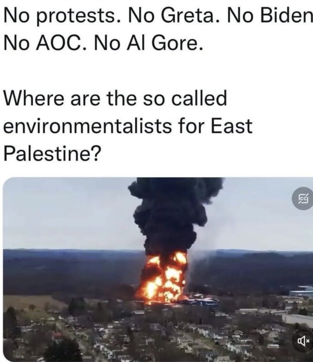 Sal the Agorist (@sallymayweather) on Twitter photo 