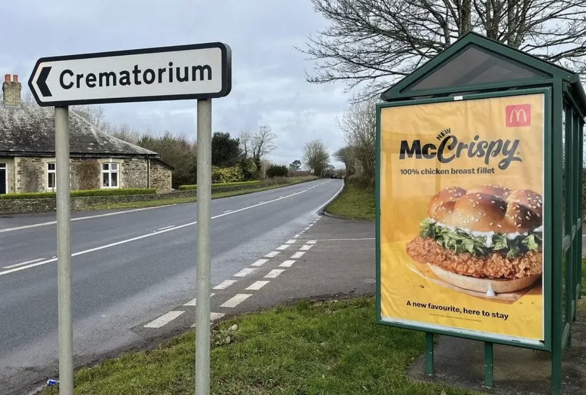 npllıʍnpllıʍ (@willduwilldu) on Twitter photo 