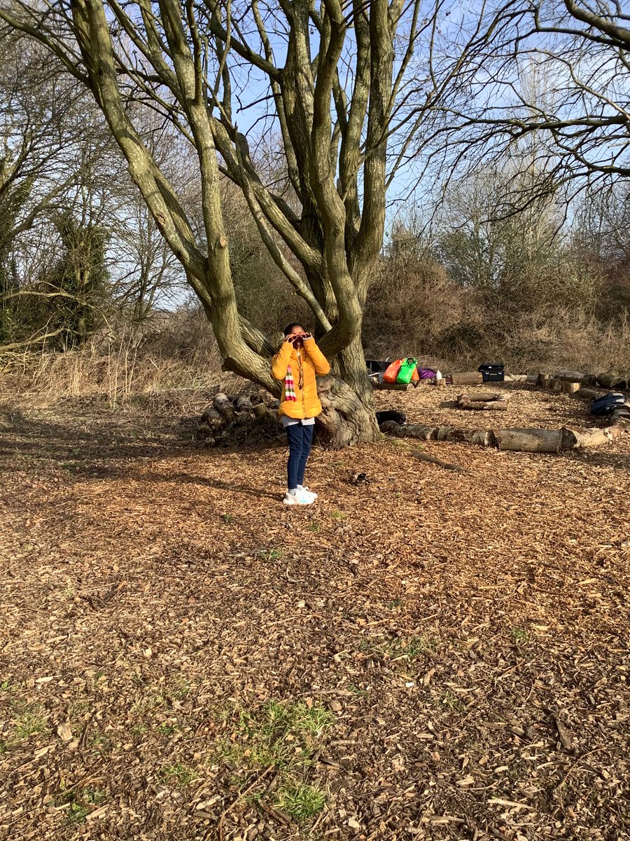 Year 4 Rowan enjoyed their first session of Forest School today. The children really enjoyed exploring and getting creative with the resources Ranger Abi supplied. Children built dens, tried to find bugs and climbed trees. What a fantastic day had by all.🌱🌳🌿