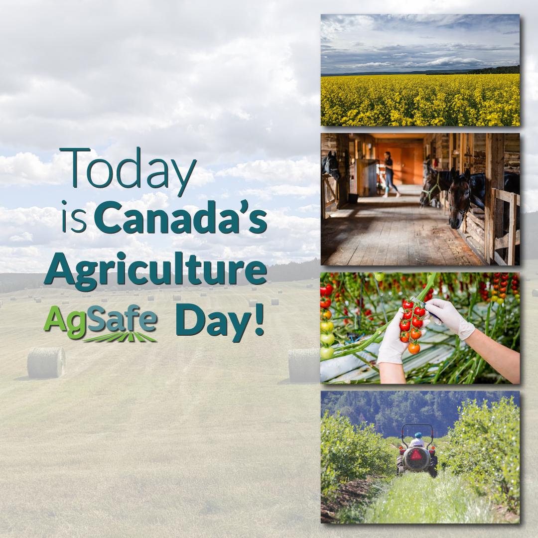 Forks UP! 

Here's to the hardworking individuals who put food on our tables.

🚜 👨‍🌾 🐄 🌽 🐓 🥕

#CdnAgDay #CdnAg #BCag