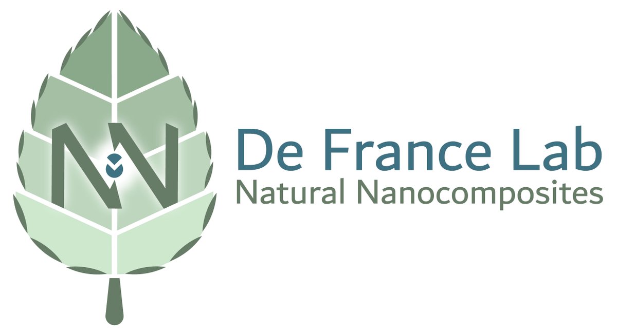 Drumroll please! 🥁🥁🥁
I am THRILLED to show off my newly minted lab logo, courtesy of Caitlyn Skelton & the @designsthatcell team.
The Natural Nanocomposites Lab is up and running, and quite frankly looking ✨✨ Fabulous ✨✨
@QuCHEE @QueensEngineer  🌿🫧🔬