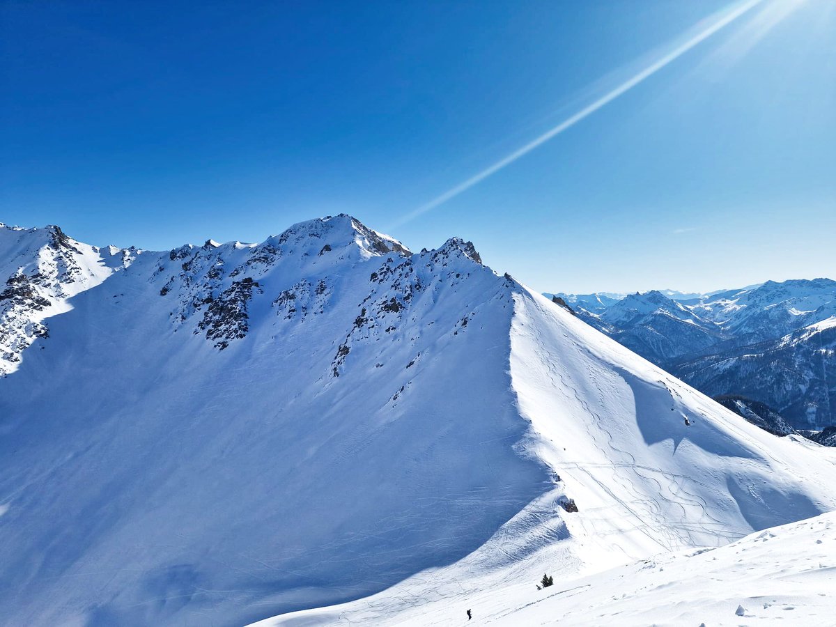 Al Powell tweet media