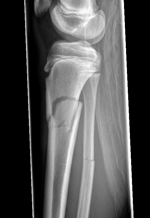 Dr. Edward Oates tweet media