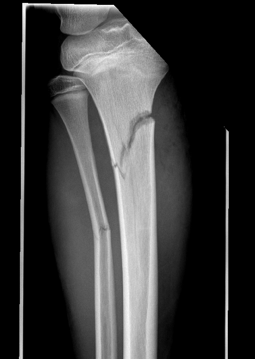 Dr. Edward Oates tweet media