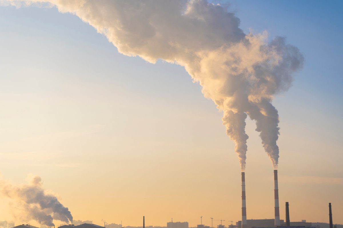 Impact Fund tweet media