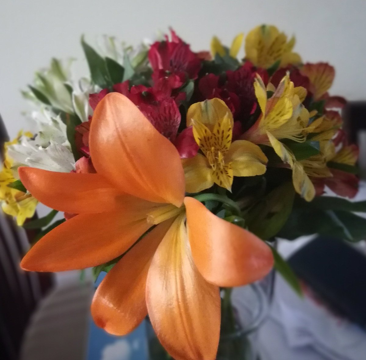 Dr Mercy Ette tweet media