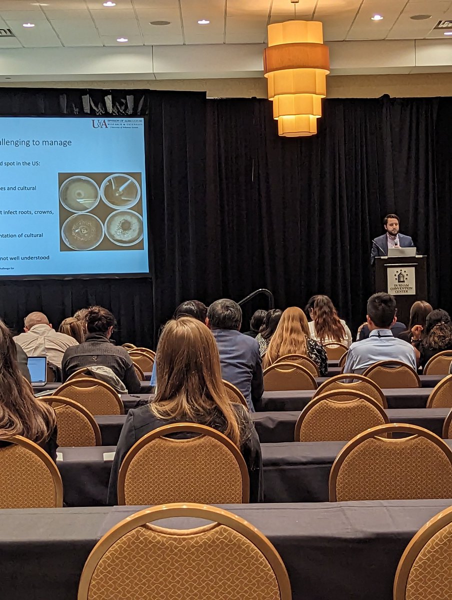 Wendell Hutchins sharing spring dead spot epidemic factors