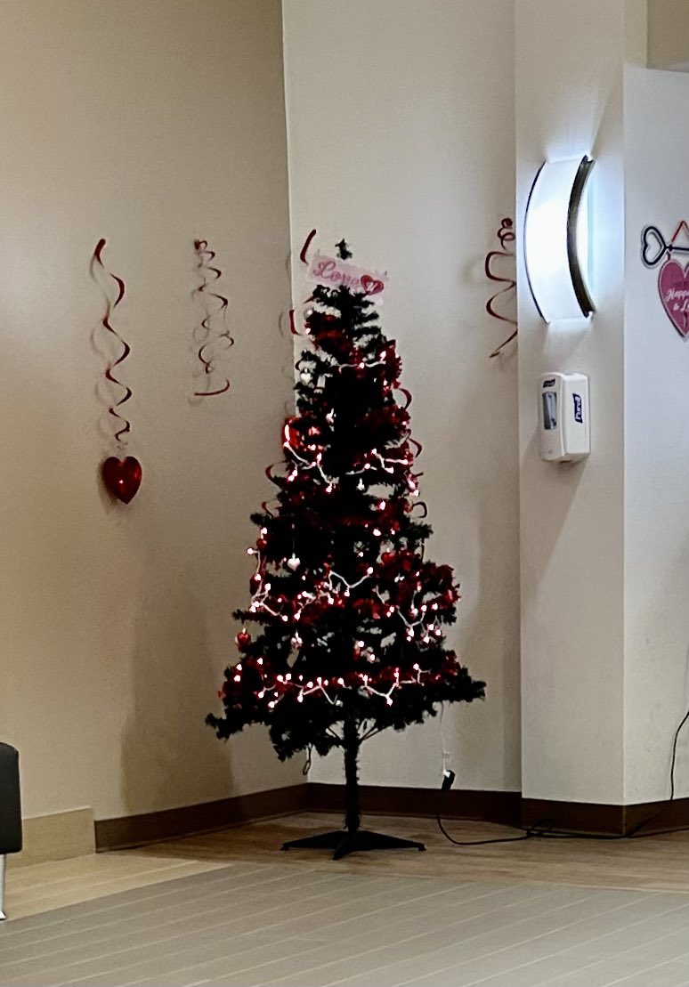 Dammit. I hate it when people leave up Valentines Day trees past the holiday!