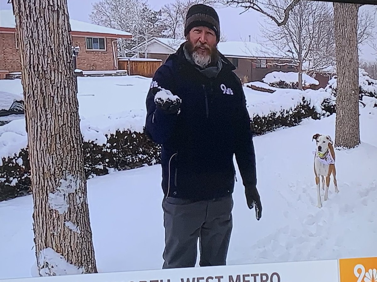 MelanieLEscobar's tweet photo. I will watch every single weather report if Bones is included!  @9NEWS @CReppWx @9NEWSWeather #Dogs https://t.co/NOJpflvbW6