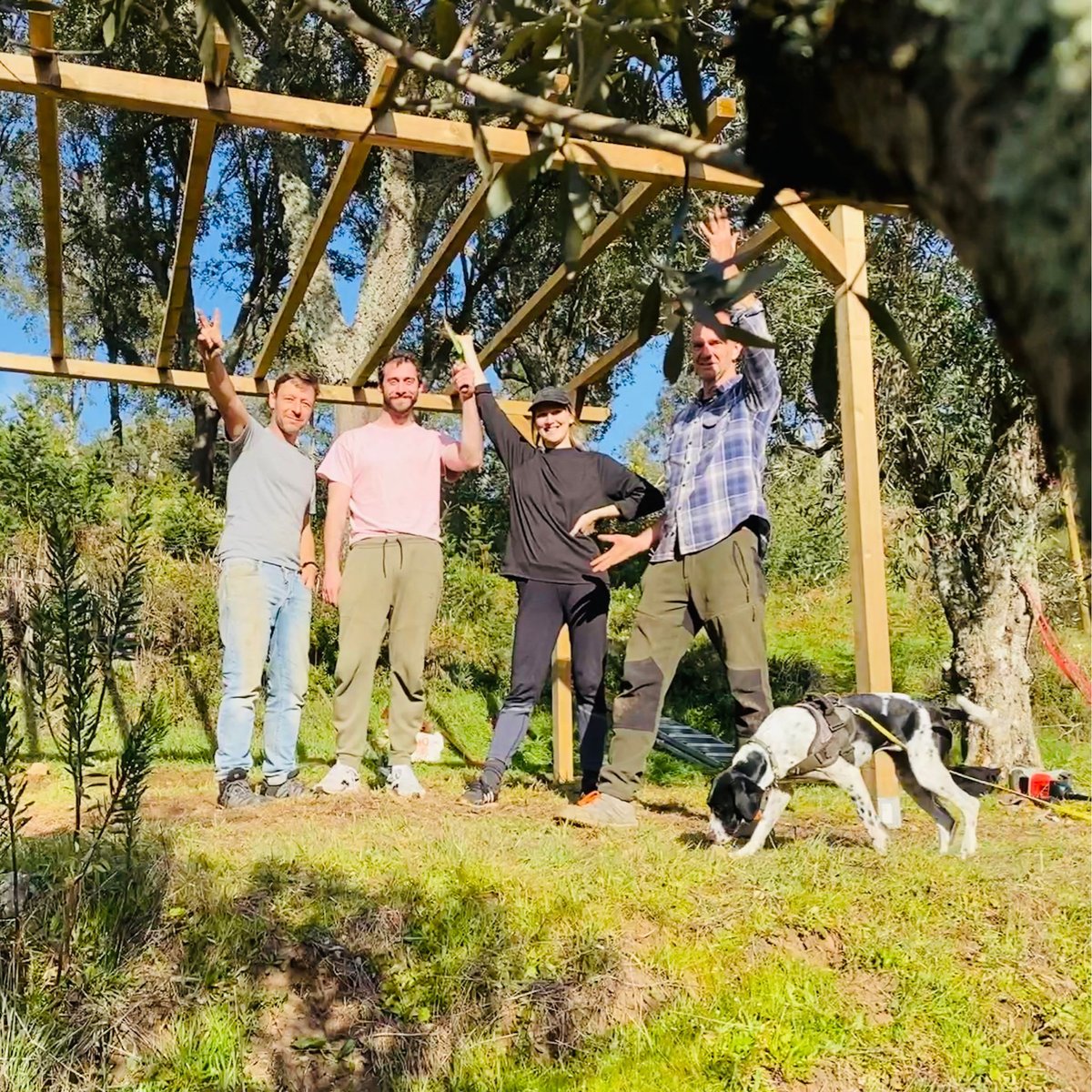 quintalgbt's tweet photo. Today we finished a lovely pagoda, overlooking the stream, the forest and the vegetable garden. Probably a future favourite place for summer lunches, massages and aperos! https://t.co/UtXg4VXaBi