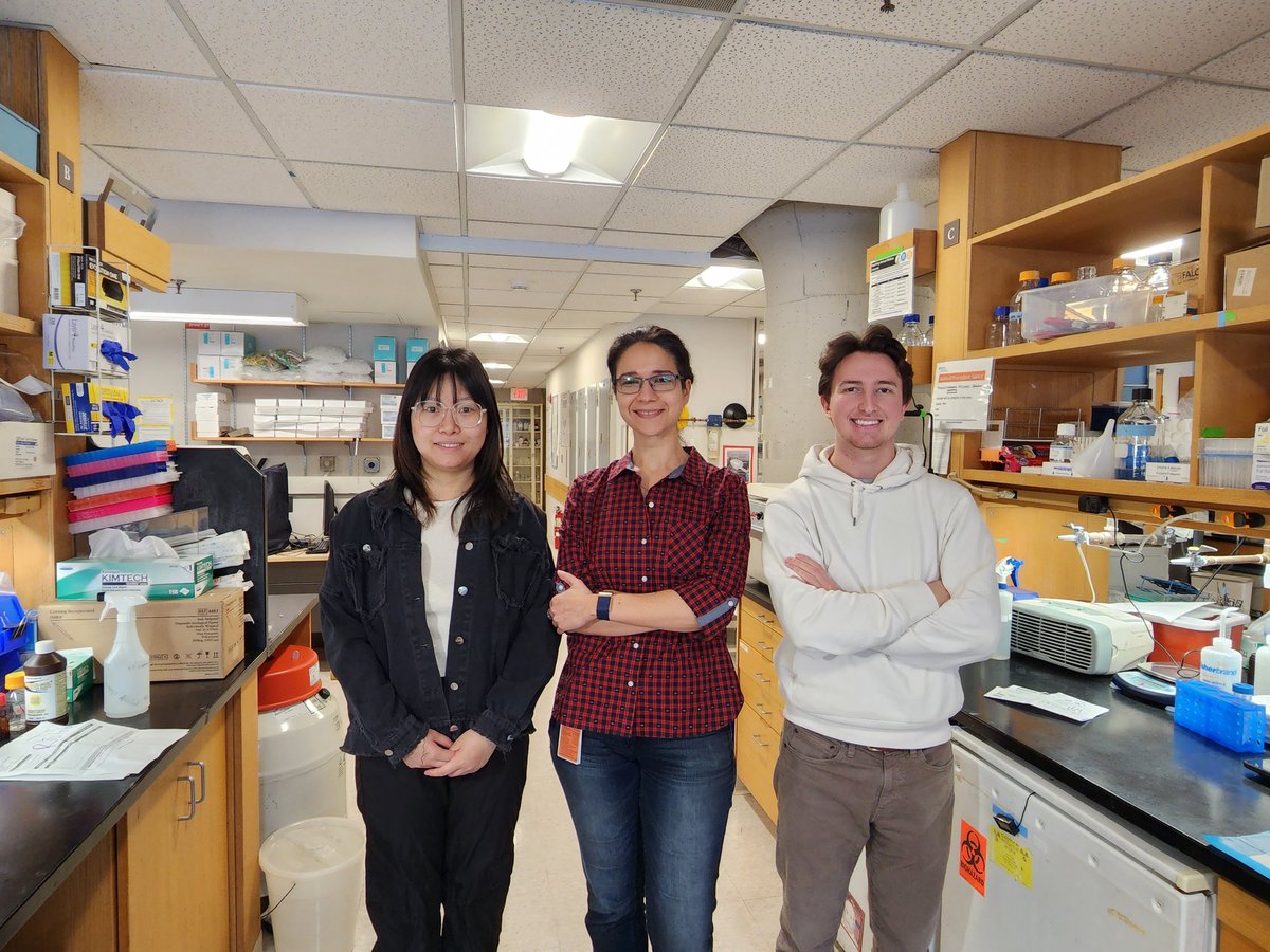 Dr. Ruxandra Sirbulescu and her team are excited to be continuing their work developing novel immunotherapies for acute neurotrauma, neurodegenerative diseases, and chronic wounds.