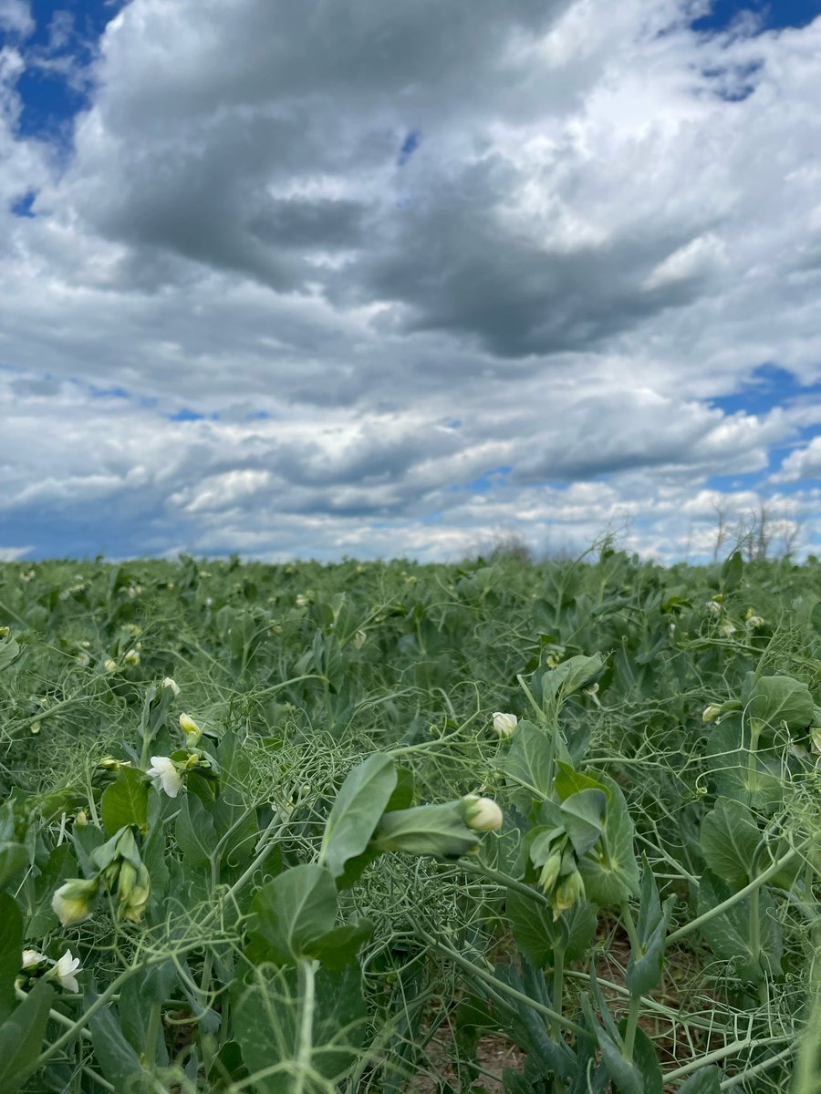 Happy #CdnAgDay 👩🏼‍🌾🌾