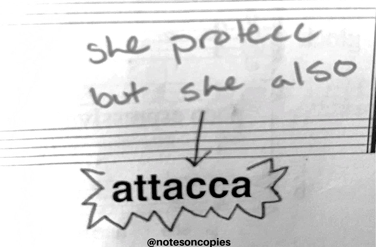 notesoncopies's tweet photo. she protecc but she also
#notesoncopies https://t.co/jaLymZMDvi