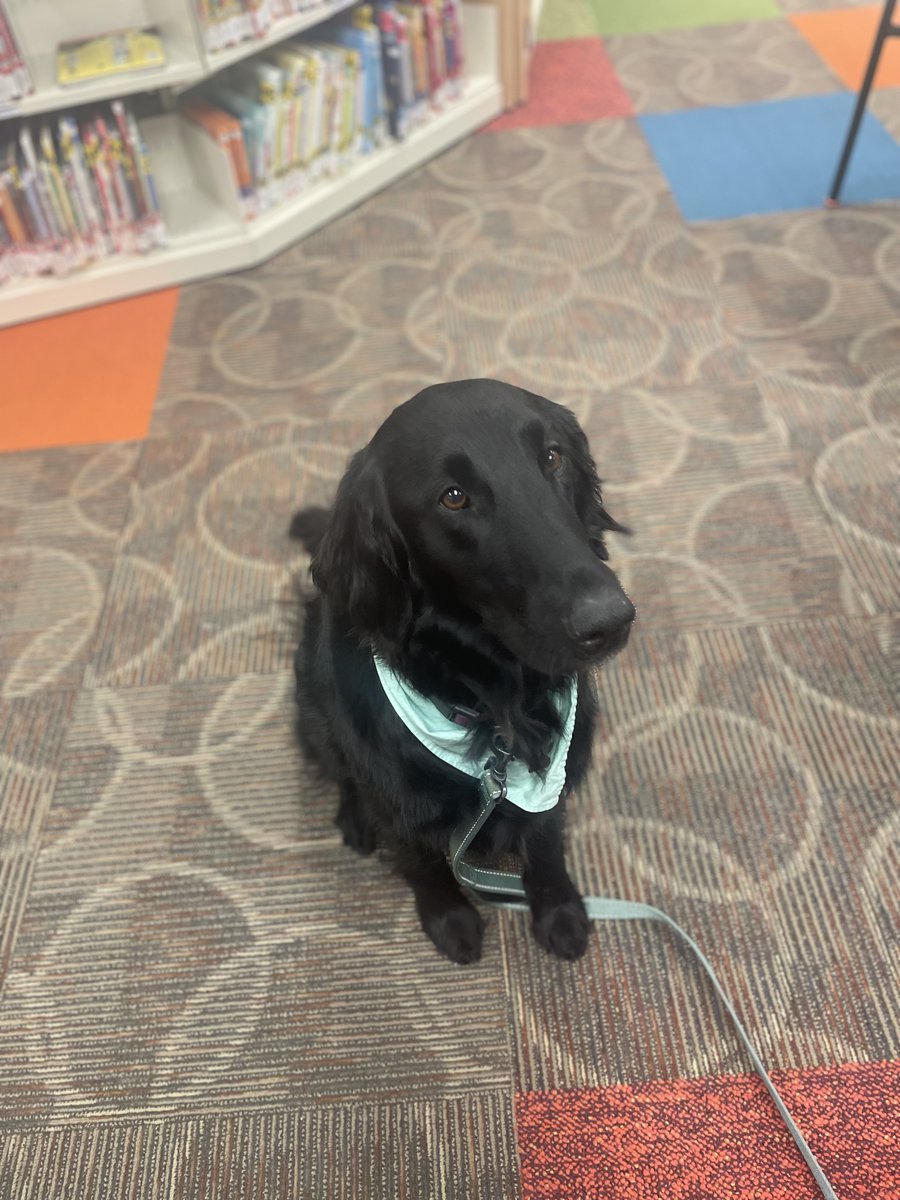 City of East Lansing tweet media