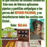 Photo by ACPLA - Asociacion Civil Por Los Animales (@_ACPLA)