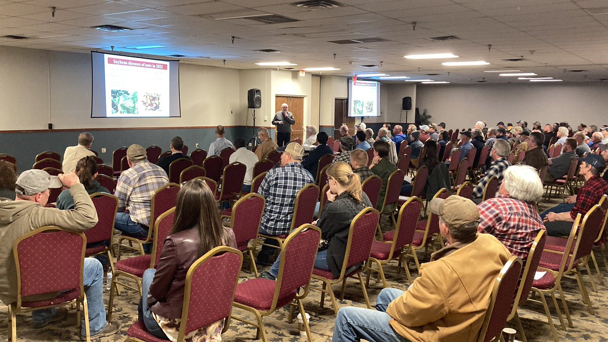 Jodi Letham tweet media