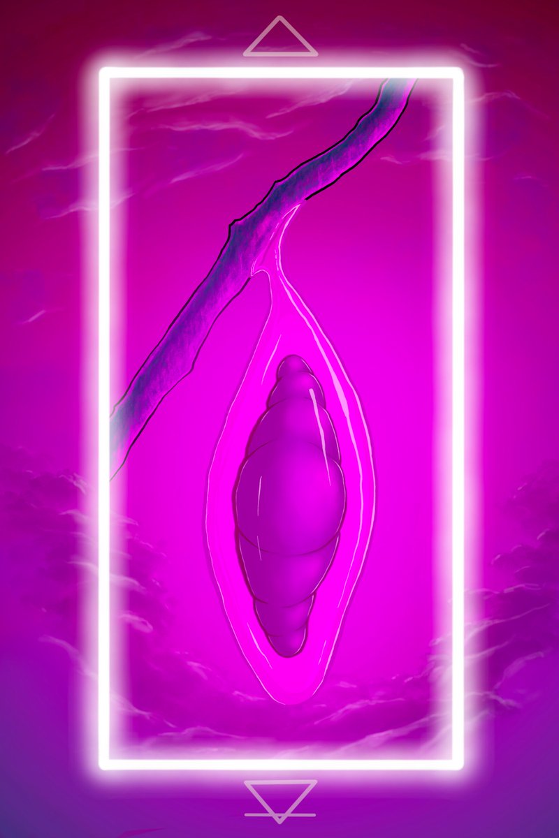 The Basement tweet media