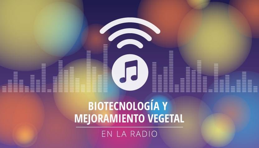 Sintonizá con la #biotecnología y el mejoramiento vegetal en la #radio📻

Conocé a investigadores de🇦🇷que se dedican a la genética, la biología, la biotecnología y el mejoramiento de plantas. Nos cuentan de qué se trata su trabajo en estas entrevistas👉 bit.ly/3Igy877🎙