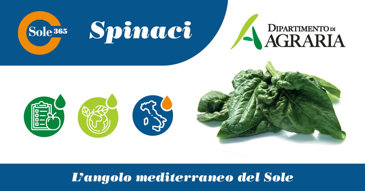 In padella, come ripieno per la pasta o nelle torte salate.
Come utilizzate di solito gli spinaci?

Estremamente versatili, sono, infatti, tra gli ortaggi più usati in cucina, 
 
Scopriamone benefici, curiosità e tipologie 

sole365.it/angolo-mediter…