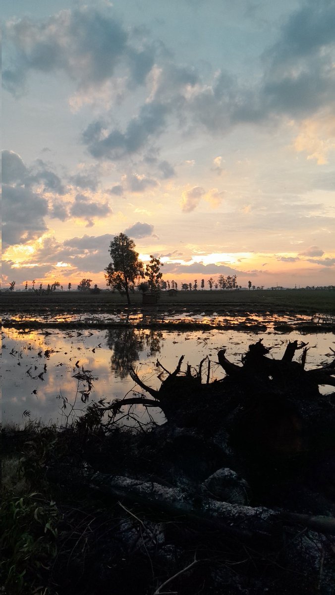 Godeaterr_'s tweet photo. "Daripada aku yang jatuh karena mengejar langit , lebih baik aku terbaring menatap keindahannya saja." https://t.co/Xkq6Q1EIAL
