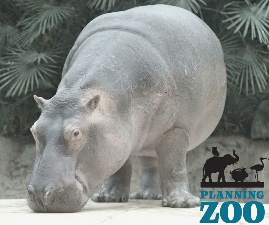 Celebrate World Hippo Day with us! Learn more here: buff.ly/3l9w2Na
