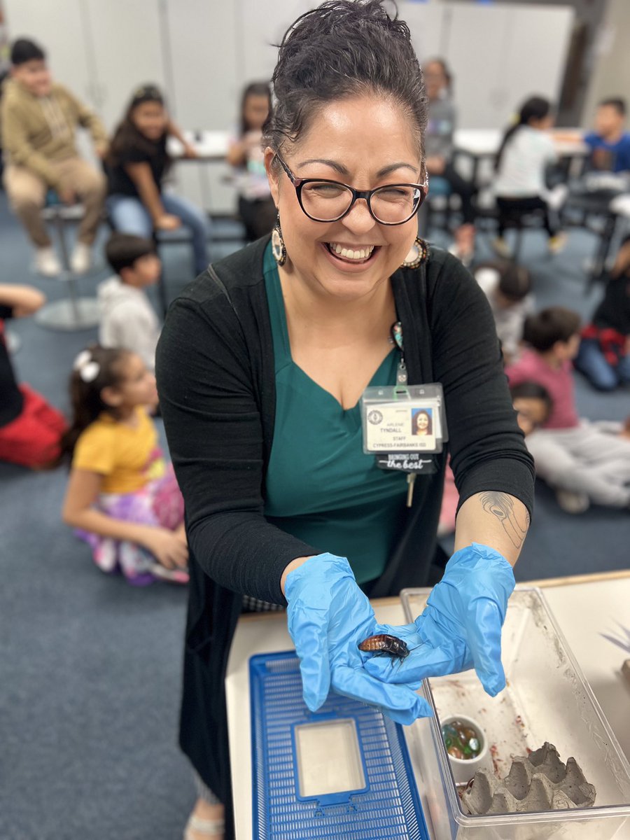 arlenetyndall's tweet photo. Learning about Arthropods in 3rd grade @KirkElementary ! What a brave teacher!😂 #KirkCan #Iteachthird #3rdgradescience https://t.co/oU6NxY8MuW