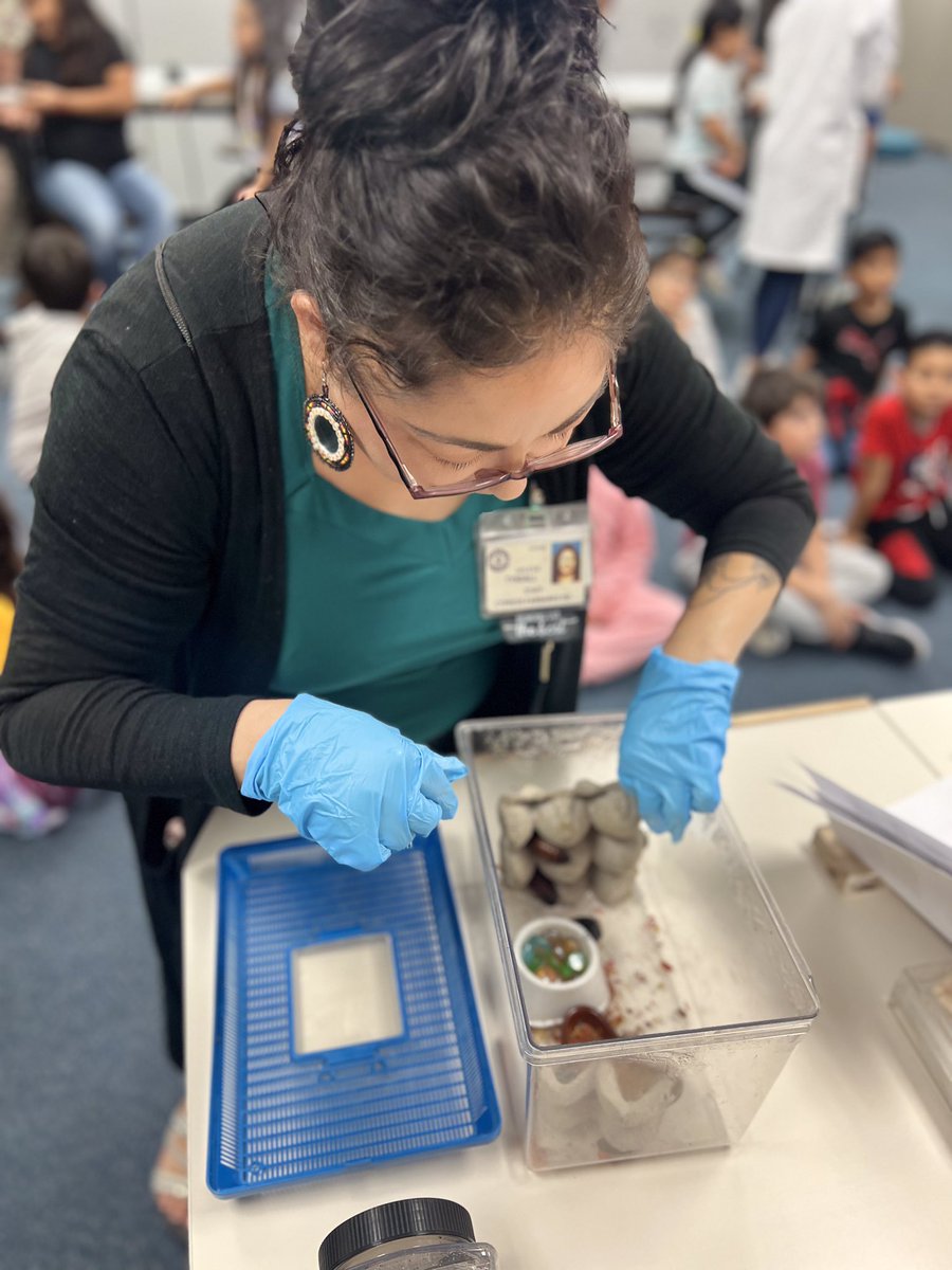 arlenetyndall's tweet photo. Learning about Arthropods in 3rd grade @KirkElementary ! What a brave teacher!😂 #KirkCan #Iteachthird #3rdgradescience https://t.co/oU6NxY8MuW