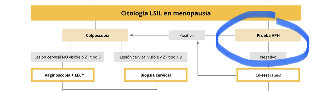aepccolposcopia's tweet photo. El estatus hormonal puede condicionar la actitud a seguir ante resultados citológicos patológicos. En mujeres menopáusicas ante #ASCUS o #LSIL la opción preferente será realizar un test #HPV. Y colposcopia si es positivo, independientemente del genotipo. #Guía_Prevención https://t.co/heMJTFz02j