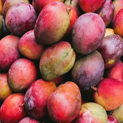 PlantOGram's tweet photo. Are you looking for something delicious, nutritious, and so flavorful that it'll make your taste buds tingle? 🤤 If yes, look no further! PlantOGram Mango's are flowering!
https://t.co/e12JVgL7i0
.
.
.
.
.
  #Fruit #Produce #Food #Plant #Mango #Pear https://t.co/r3fovvVJKI