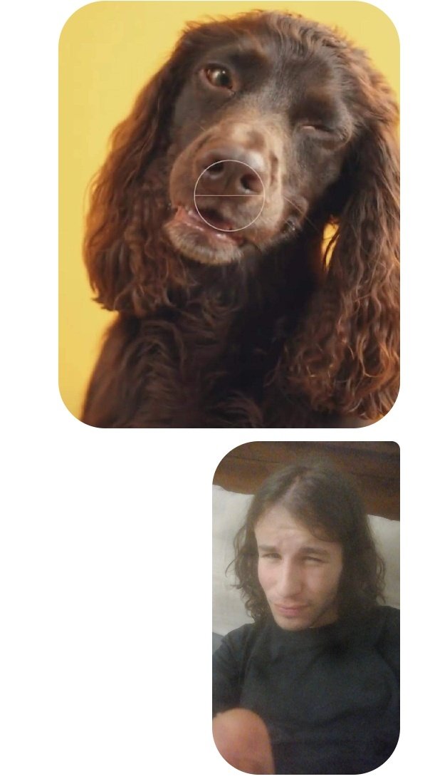 tigronedolce69's tweet photo. sono identico a questo cane https://t.co/hWSFBMUjAc