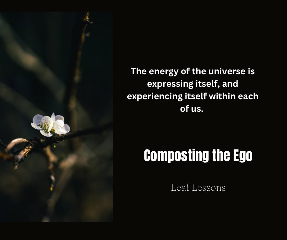 LeafLessons's tweet image. You are more powerful and stronger than you’ll ever imagine. #ownyourower #energeticalignment #spiritualcoach #healingcoach #stepintoyourpower #AuthorsOfTwitter #alignment #spirituality #UNIVERSE 
Book a Free Intuitive Healing Consultation call!