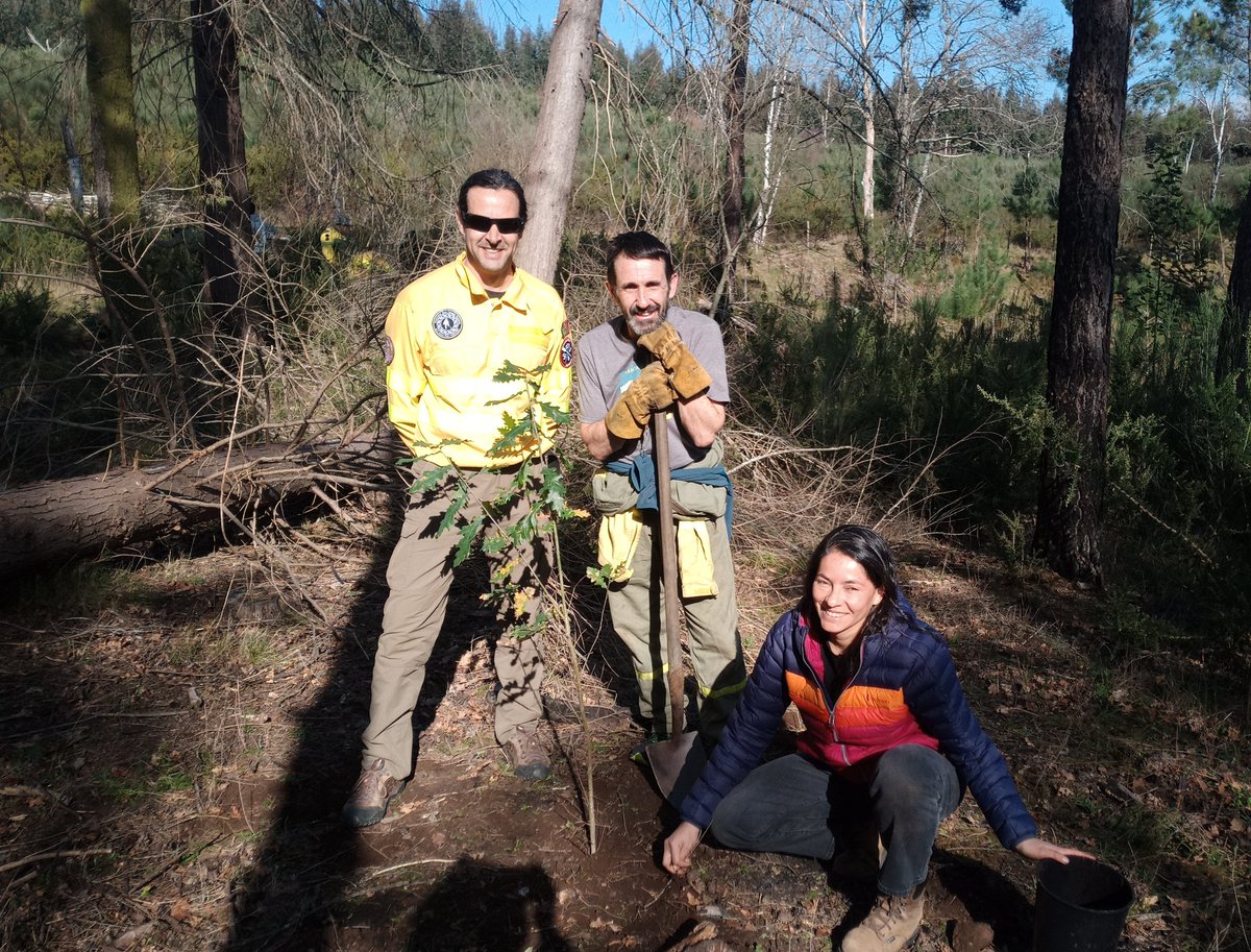 TrexAlto's tweet photo. Otros momentos de hoy en el #AltoMinhoTREX2023

Plantación de 🌳 en el centro de educación ambiental donde está el #ICP Incident Command Post

Este simple mensaje, este gesto ... para "ver nacer la vida" y en memoria de los que no están 🥹

¡Muchas gracias a todos! https://t.co/1maADMU4xT