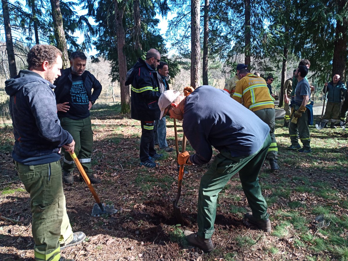 TrexAlto's tweet photo. Otros momentos de hoy en el #AltoMinhoTREX2023

Plantación de 🌳 en el centro de educación ambiental donde está el #ICP Incident Command Post

Este simple mensaje, este gesto ... para "ver nacer la vida" y en memoria de los que no están 🥹

¡Muchas gracias a todos! https://t.co/1maADMU4xT