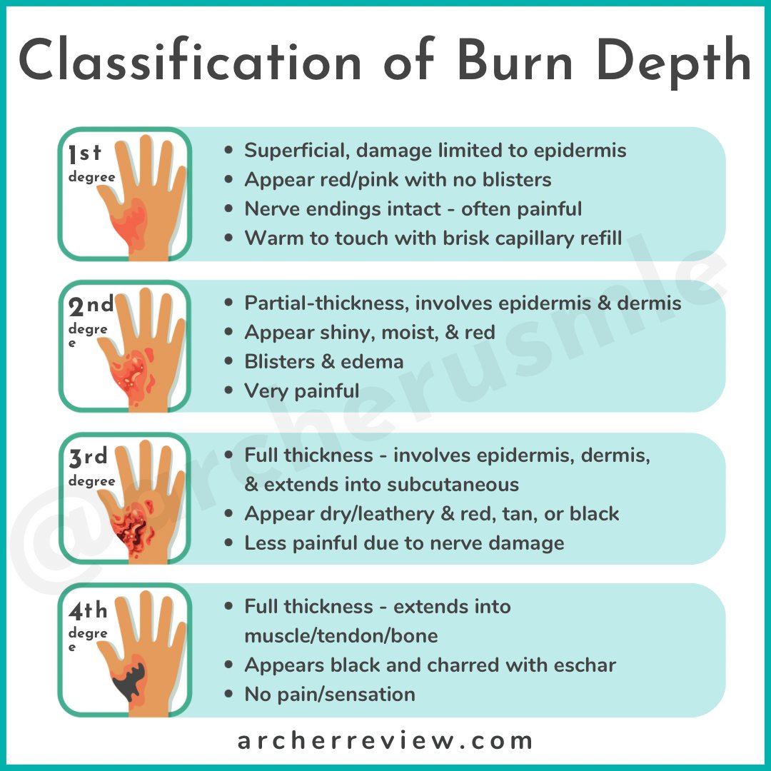 Archer USMLE Review tweet media