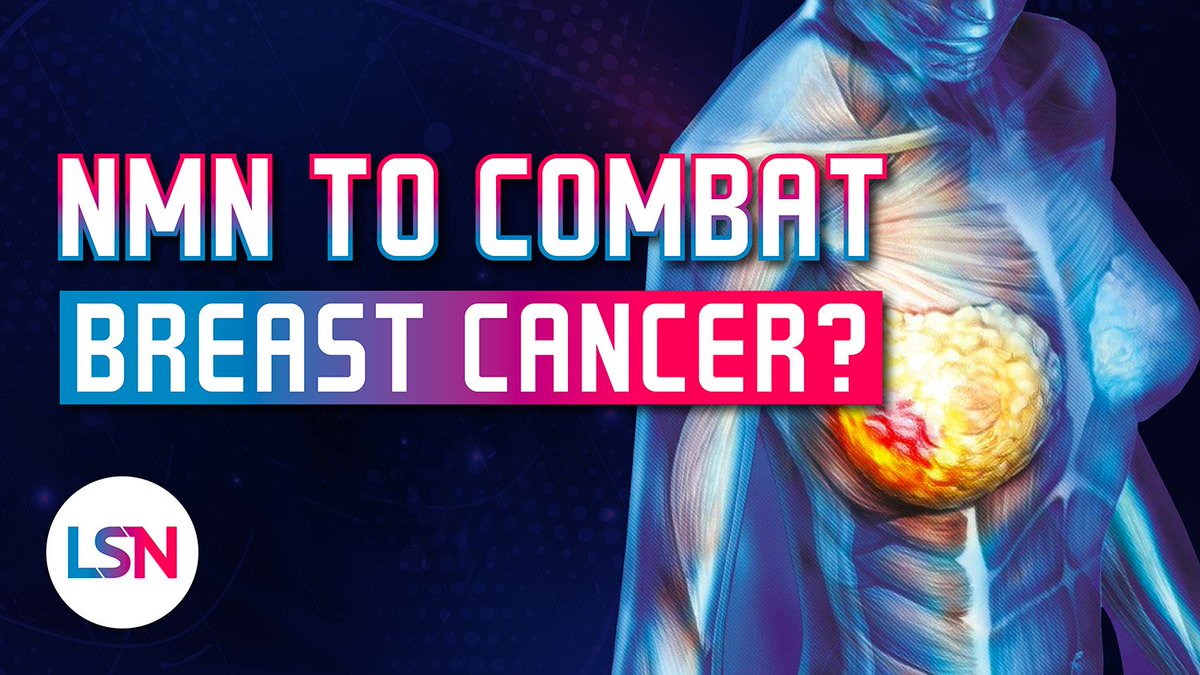 NMN has a complicated relationship with cancer, but new study results provide some positive news about breast cancer. Learn more in this episode of Lifespan News, hosted by <a href="/EmmettShort/">Emmett</a>! - youtu.be/x8KeZRKjTJ0 #Sirt1 #Resveratrol #Cancer
