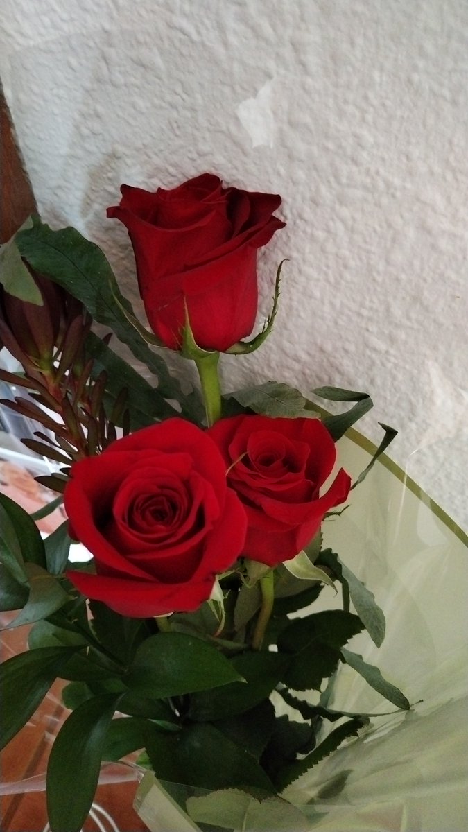M. (@miriamartin12) on Twitter photo 