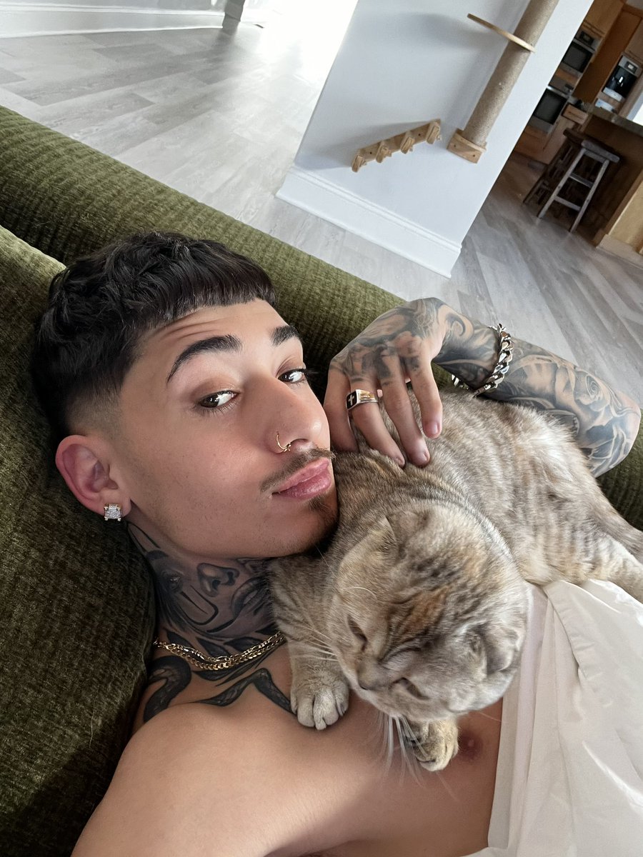 ️‍🩹 on Twitter: "RT @jonnfigg: my face is ur seat"