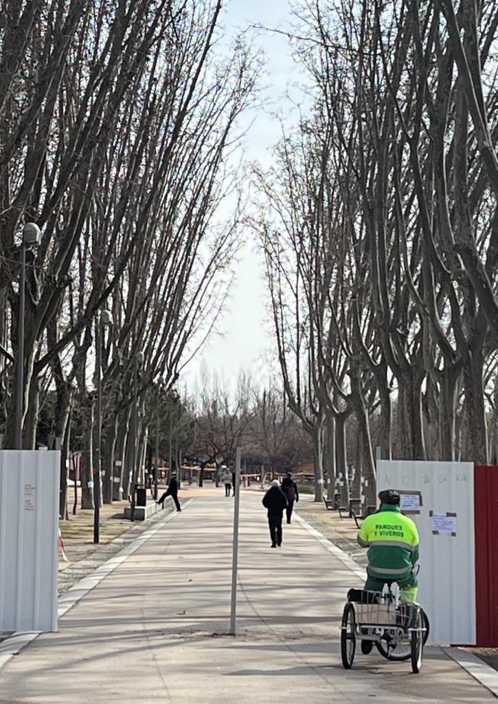 <a href="/bcarabante/">Borja Carabante</a> <a href="/AEPJP/">Asociación Española de Parques y Jardines Públicos</a> <a href="/MADRID/">Ayuntamiento Madrid</a> Han explicado que van a arrasar con una arboleda histórica en #MadridRío para no tener que cortar el tráfico? Y que lo piensan hacer sin un informe de impacto ambiental para esa ubicación del metro en pleno parque?
#YoDefiendoEsteÁrbol
#LaArboledaSeQueda
#SalvarArboledaMadridRío