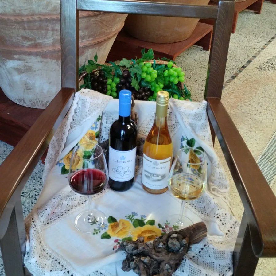 Noi siamo pronti per la #marciadelloschioppettino a #prepotto  #vinobiologico #organicwine #vinoitaliano  #friulicolliorientali