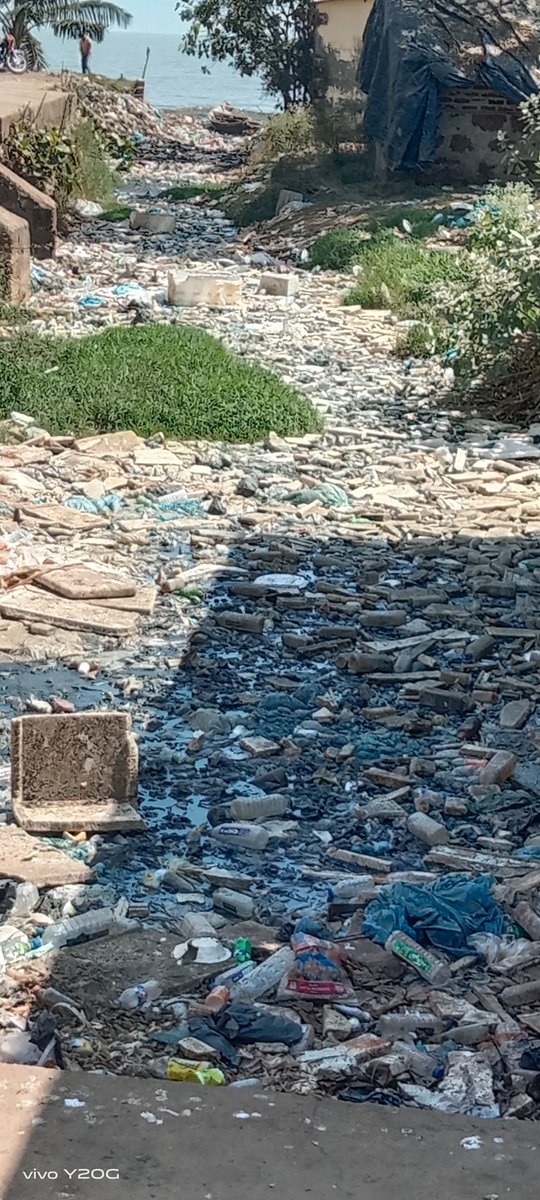 PIYUSHMOHAPATR's tweet image. Disturbing trend around Chilika lake the jewel of Odisha and Kalijai temple