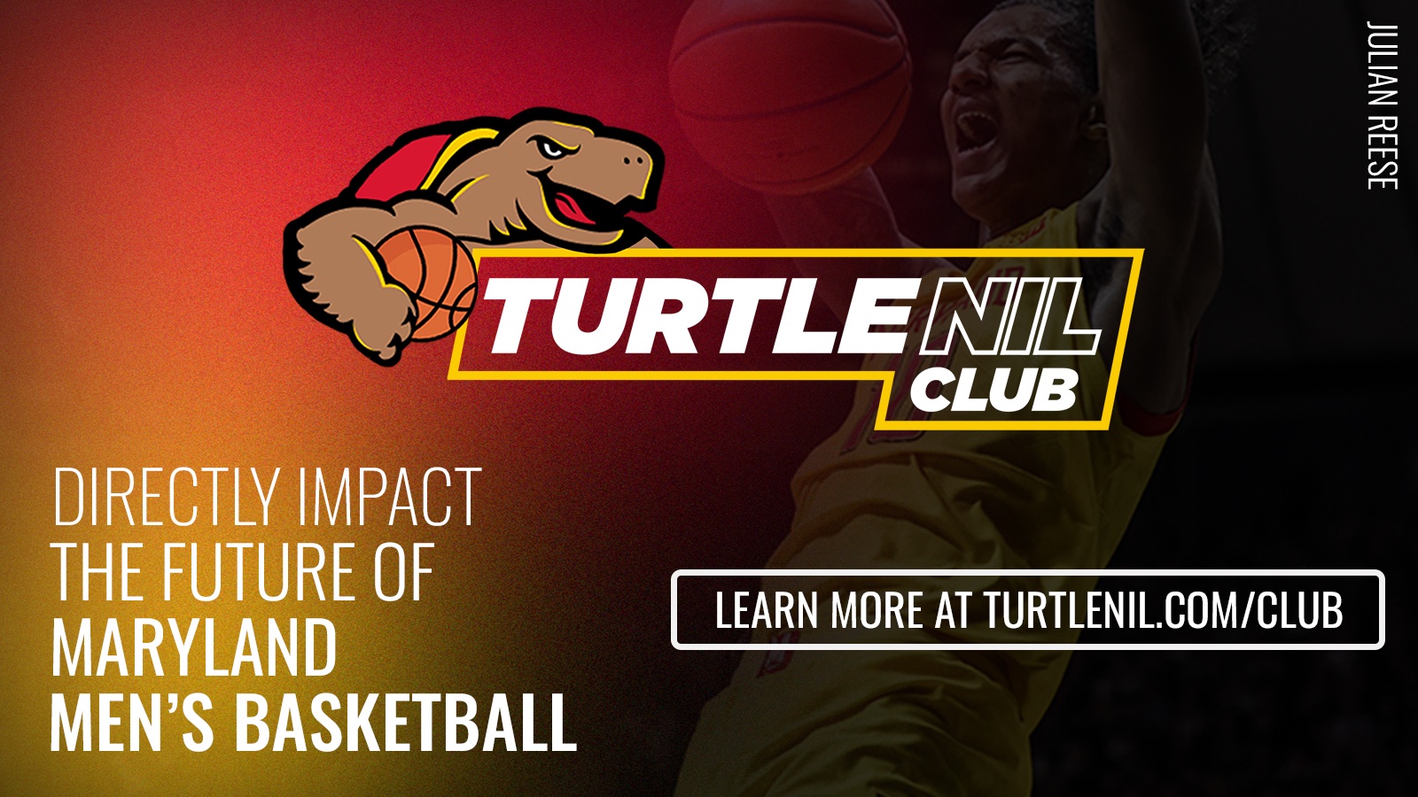 Turtle NIL on Twitter: 