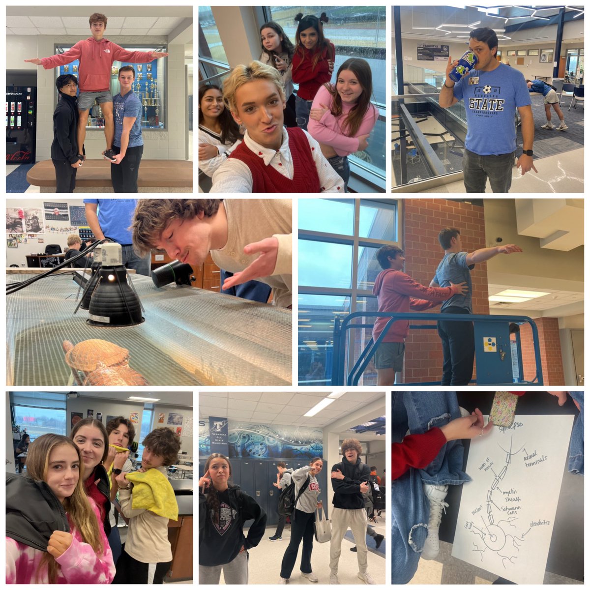 PLSAnatomy's tweet photo. So many students out chasing this elusive goose! @Goosechase https://t.co/Sjf1TU28Wx