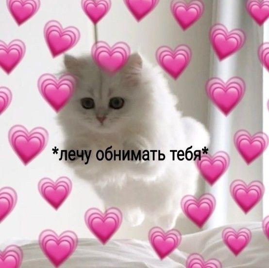 meanitence's tweet photo. @_black_swan_01 Спасибо 🥺🫂🫂🫂 https://t.co/P9fSMHsDfF